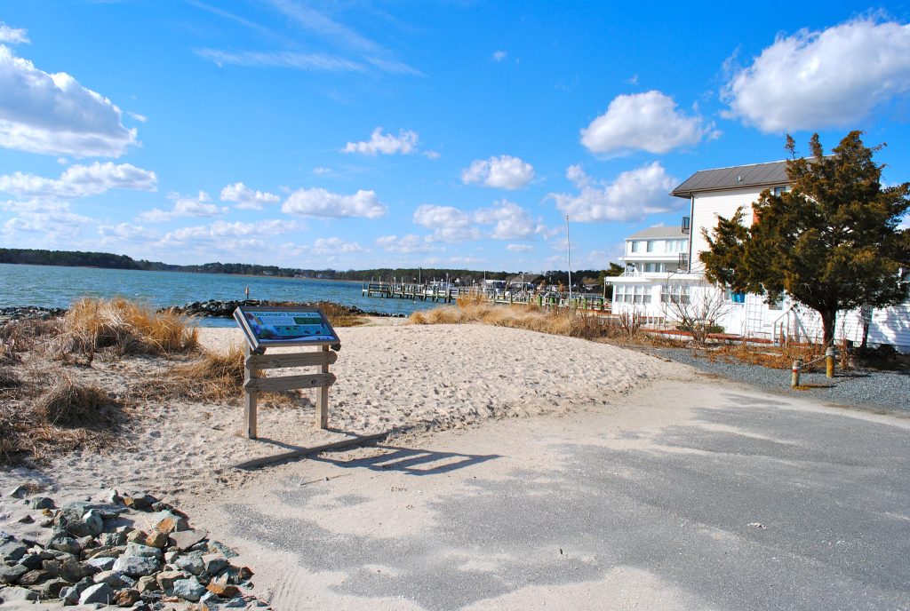 Dewey Beach, Delaware homes for sale — Dana Gregory, Coldwell Banker Realty