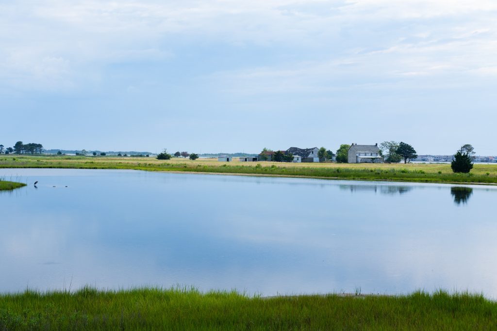 Fenwick Island, Delaware homes for sale — Dana Gregory, Coldwell Banker Realty