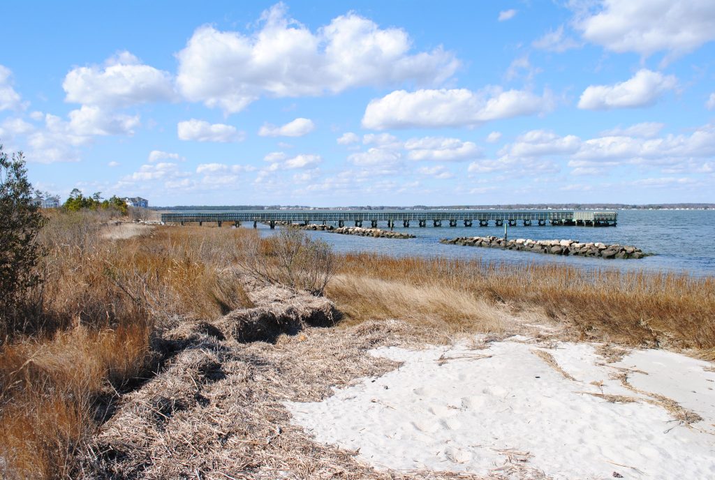 Millville, Delaware homes for sale — Dana Gregory, Coldwell Banker Realty