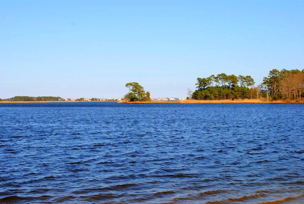 Selbyville, Delaware homes for sale — Dana Gregory, Coldwell Banker Realty